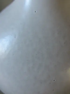 Cor Unum - Zweitse Landsheer vaas kopen? Bied vanaf 25!