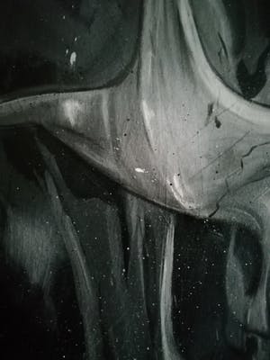 Niet of onleesbaar gesigneerd - Skull kopen? Bied vanaf 10!