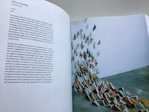 Diverse kunstenaars - Caldic Collection - ARTISTS’ BOOKS ( Ned. Uitgave) kopen? Bied vanaf 50!