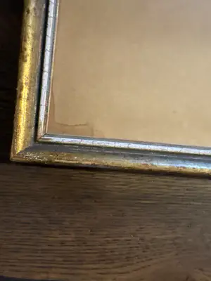 Alfred van Neste - Bleken van de was kopen? Bied vanaf 20!