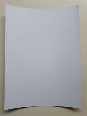 Niet of onleesbaar gesigneerd - Zwart/wit-foto van Salvador Dalí kijkend naar 'Adam en Eva' kopen? Bied vanaf 1!