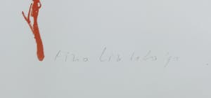 Tino Lintelo - Litho, Dravers kopen? Bied vanaf 1!
