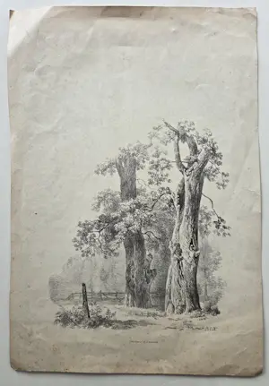 Barend Cornelis Koekkoek - Bomen. Litho. kaufen? Bieten Sie von 20!