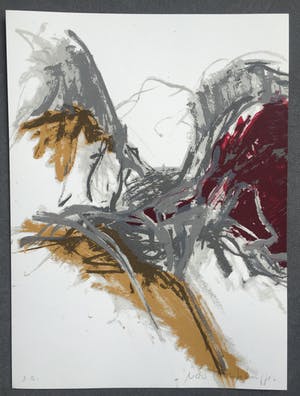 Ineke van Koningsbruggen - Vogel kopen? Bied vanaf 1!