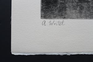 Ans Wortel - Weinig verschil tussen vliegen en kruipen kopen? Bied vanaf 50!