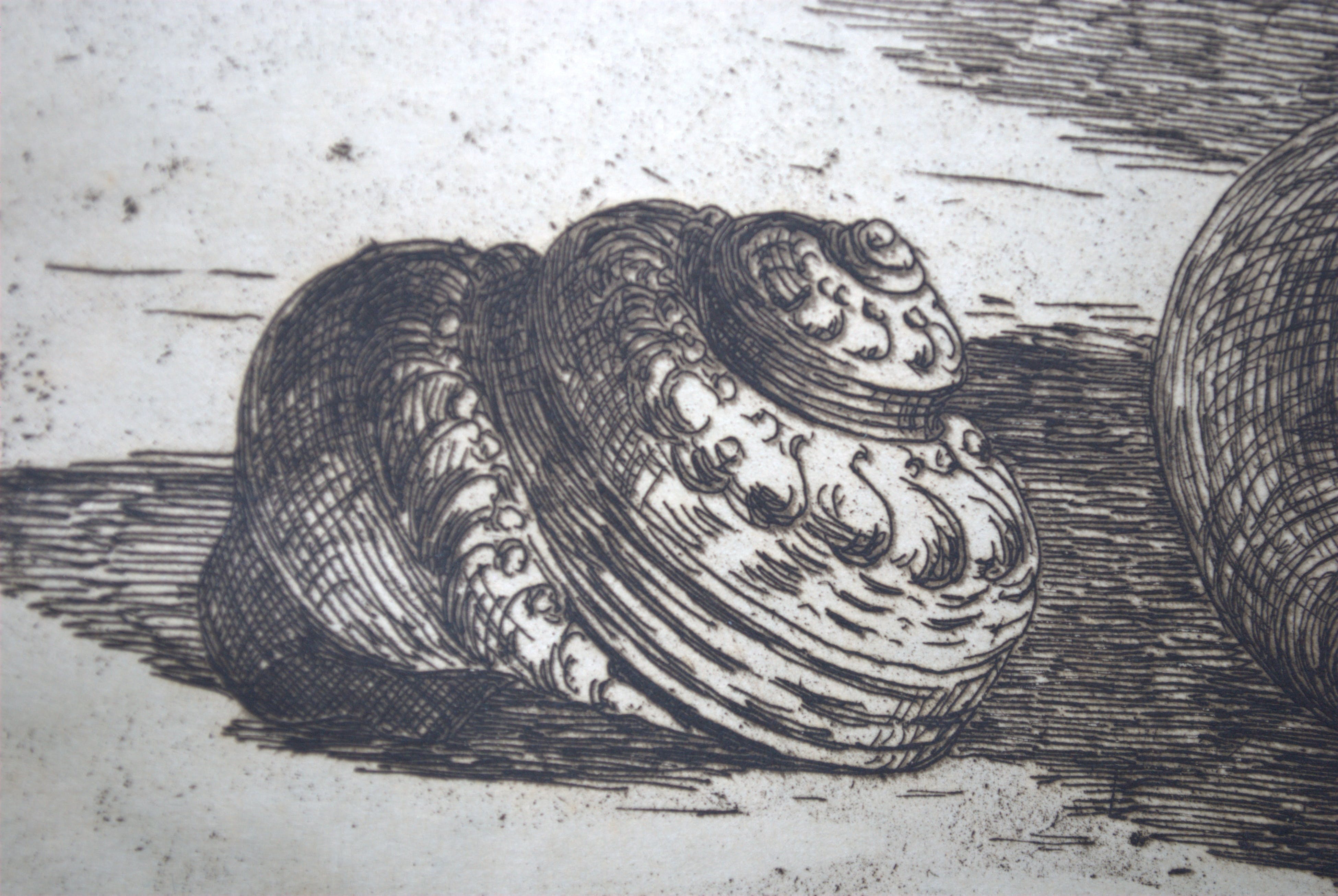 Maurits van der Valk - ets - schelpen met bord kopen? Bied vanaf 45!