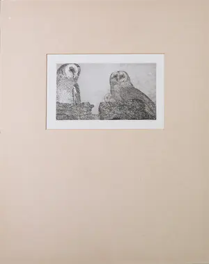 Reinder Homan - Ets, Twee uiltjes kopen? Bied vanaf 60!