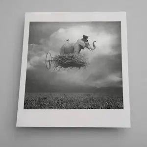 Beata Bieniak - 'Reizend Circus' (2011) kopen? Bied vanaf 85!