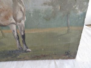 Niet of onleesbaar gesigneerd - Paard in de wei kopen? Bied vanaf 10!