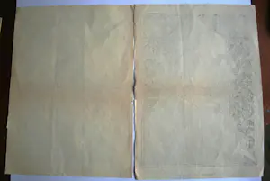 Albert Hahn - Johan Braakensiek litho & 1x door Louis Raemakers & 2 boeken Hahn/Sluijters ! kopen? Bied vanaf 75!