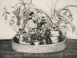 Jose Calsina - Grafiek - Bloemstilleven kopen? Bied vanaf 20!