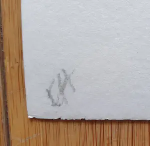 Jan Henderikse - Susie & John - Grote Blind/ Preegdruk uit 2015 - Gesigneerd - Artist Proof kopen? Bied vanaf 500!