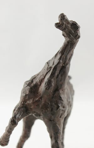 Annette Koek - Brons, Paard kopen? Bied vanaf 350!