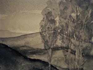 Willem van den Berg - Originele Inkttekening - Karakteristiek verstild Landschap - vanaf 1€ ! kopen? Bied vanaf 1!