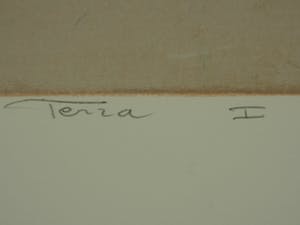 Ron van der Werf - Terra I kopen? Bied vanaf 50!