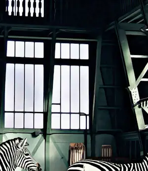 Mr. Strange - Les Zèbres kopen? Bied vanaf 85!