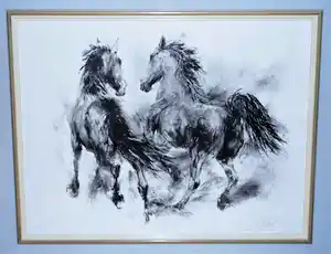 Piet Klaasse - paarden in actie - grote ingelijste handgesigneerde litho -> incl prachtig boek verkocht voor € 75!