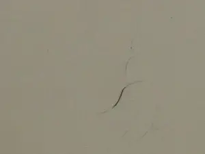 Edwin Scharff - Paard en ruiter - Litho kopen? Bied vanaf 1!