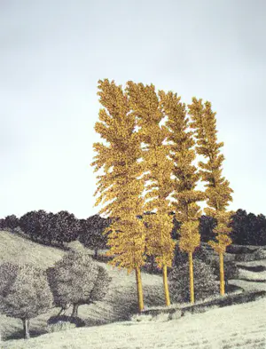 Sees Vlag - Geuldal kopen? Bied vanaf 75!