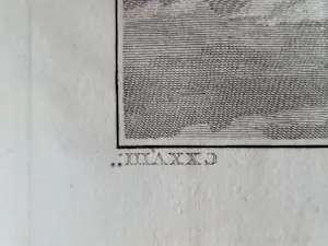 John Webber - "IJsbeer". kopen? Bied vanaf 45!