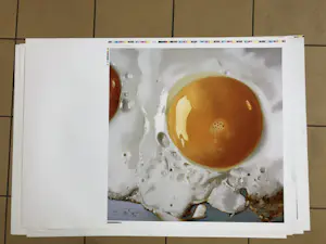 Tjalf Sparnaay - Ei / Egg kopen? Bied vanaf 365!