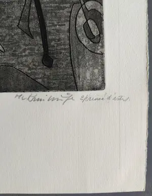 Harry van Kruiningen - Edgar Allan Poe Het masker en de rode dood - Gesigneerde ets kopen? Bied vanaf 89!