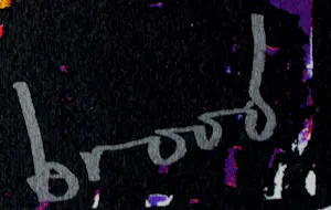 Herman Brood - Zeefdruk met boek: Woedend licht - 2000 kopen? Bied vanaf 150!