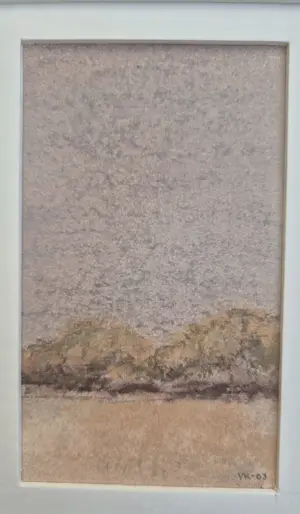 Harry van Kuyk - 4 tekeningen - vier maal Hoge Veluwe kopen? Bied vanaf 295!