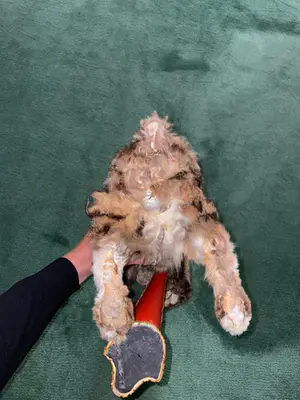 Roullet & Decamps - een zeer zeldzame Roullet et Decamps automaat kopen? Bied vanaf 12500!