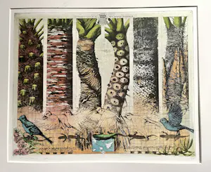 Rolf Weijburg - Flora y Fauna de las islas Canarias Occidentales kopen? Bied vanaf 85!
