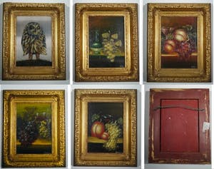 Niet of onleesbaar gesigneerd - 5 stillevens, druiven en een uiltje kopen? Bied vanaf 1!