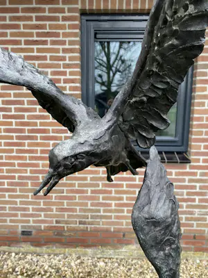 Jacqueline van der Laan - Twee meeuwen kopen? Bied vanaf 1200!