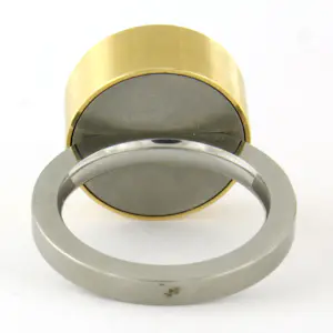 CARL DAU – stalen ring en 18k gouden bovenzijde met briljant geslepen diamant kopen? Bied vanaf 710!