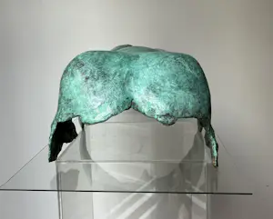 Marion Visione - GAIA kopen? Bied vanaf 550!