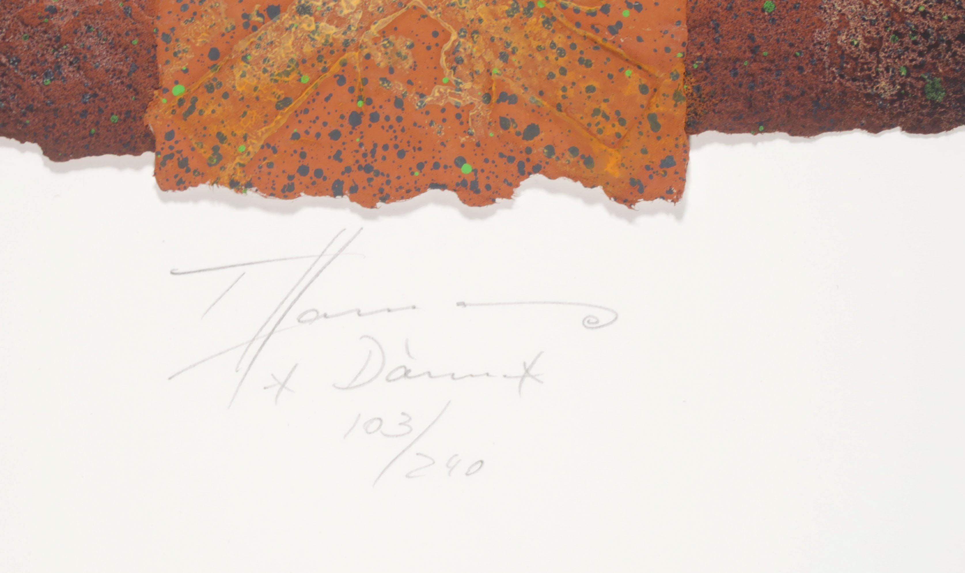 Thomas Hamann - Aquagravure, Z.T. kopen? Bied vanaf 20!