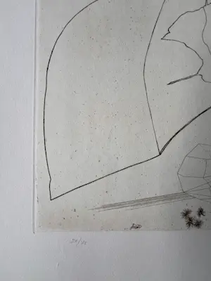 Jorge Castillo - Originele, gesigneerde ets - 1978 - 20/75 kopen? Bied vanaf 125!