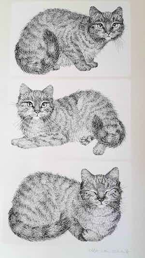 Ella van Schaik - Drie katten verkocht voor € 45!