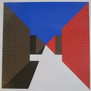 Thijs Overmans - Ingelijste zeefdruk kopen? Bied vanaf 70!