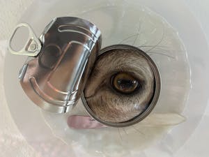 Les Deux Garçons - L’entrée II kopen? Bied vanaf 4000!