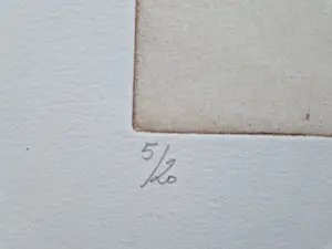 Ronald Tolman - in zeer kleine oplage (20) gemaakt - wee hij die over zijn schaduw stapt ... kopen? Bied vanaf 48!