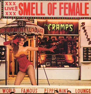 The Cramps - Smell Of Female kopen? Bied vanaf 12!