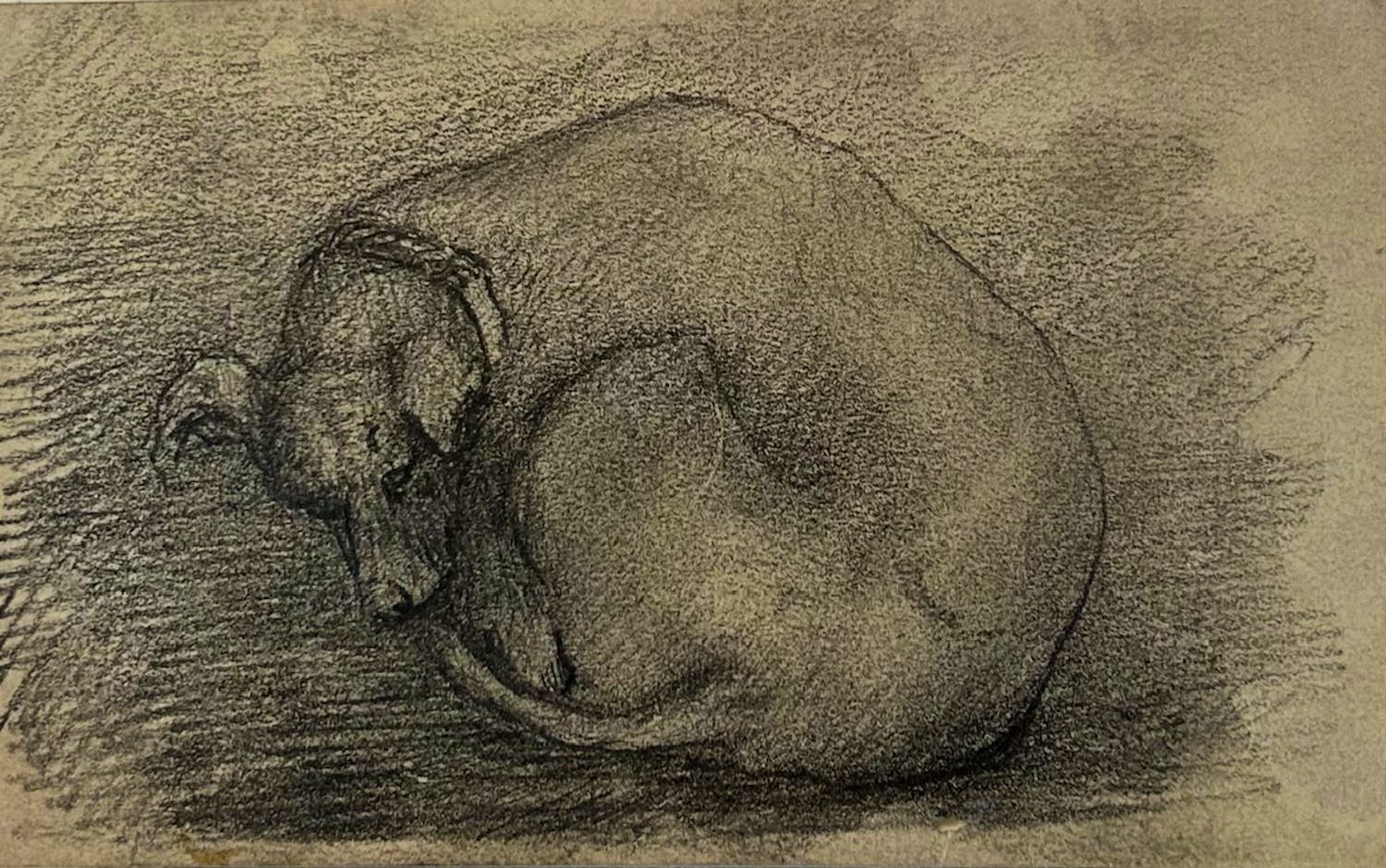 Willem van Konijnenburg - Slapende hond kopen? Bied vanaf 85!