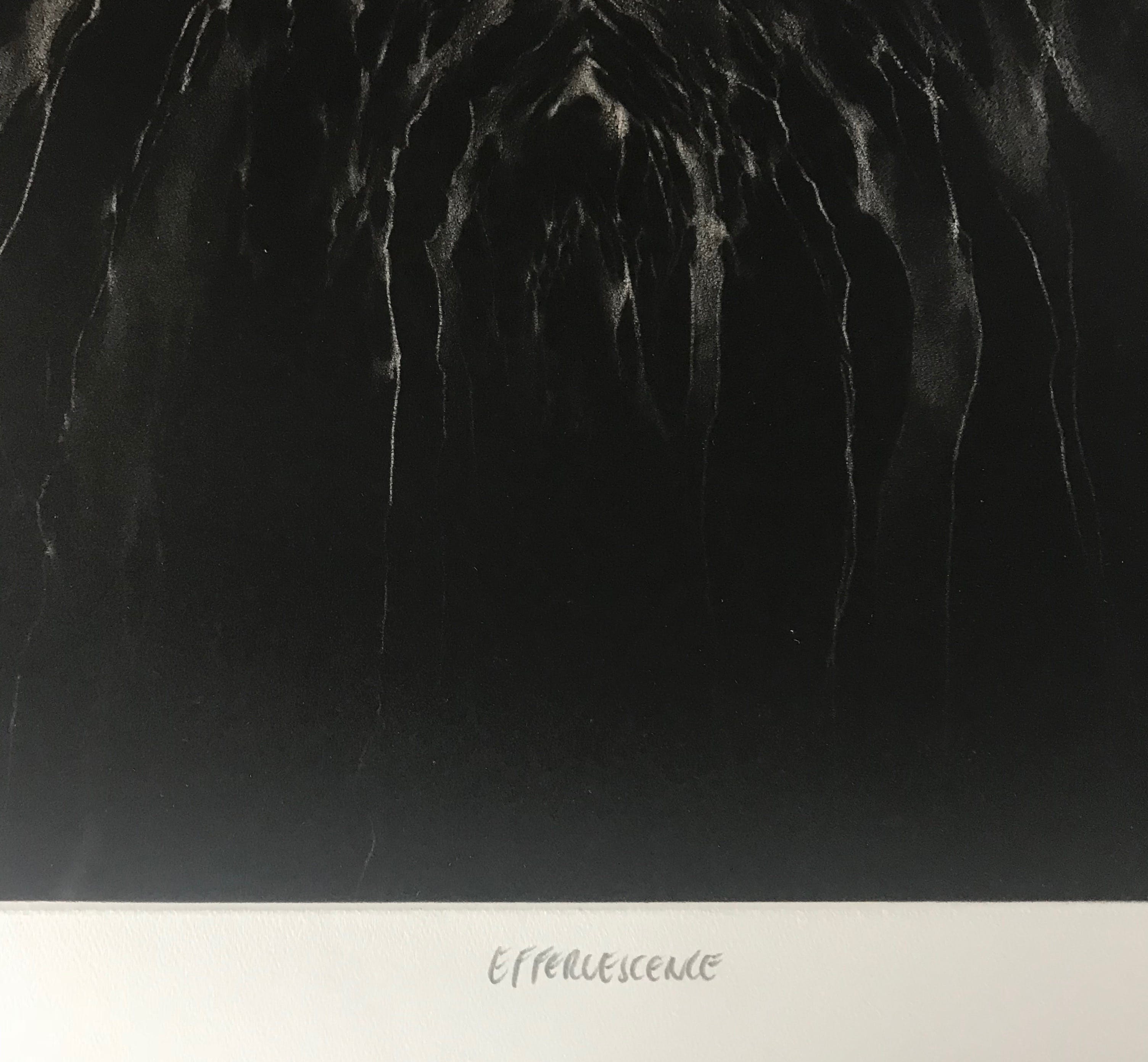 André Bongibault - Gesigneerde ets - 74/99 - Niet ingelijst kopen? Bied vanaf 55!