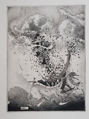 Jan Prins - Prachtige Ets - Gesigneerd in potlood kopen? Bied vanaf 1!