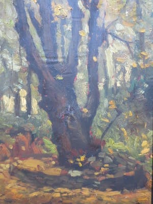 Cornelis Kievit - Dwarreling. kopen? Bied vanaf 100!