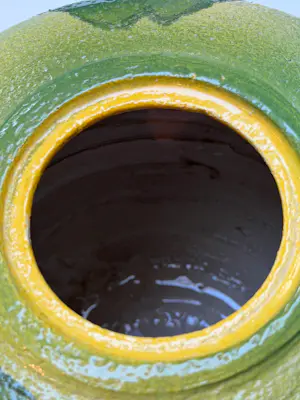 Klaas de Boer - Pot Lotus Bloem kopen? Bied vanaf 75!