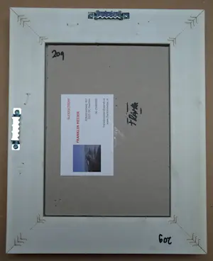 Franklin Meijer - Waarheen???? 2 x kavel kopen? Bied vanaf 69!