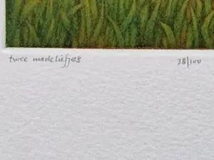 Joop Vegter - Fraaie kleine mezzotint "twee madeliefjes" - kleine oplage - potloodgesigneerd kopen? Bied vanaf 70!