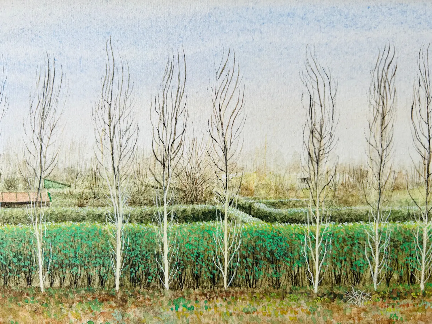 Hilmar Schäfer (1936)