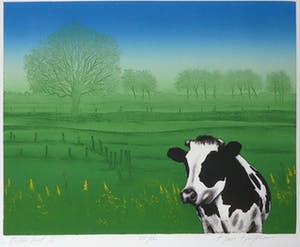 Hans Heijman - Kleurenets, Polderland II - Ingelijst kopen? Bied vanaf 50!